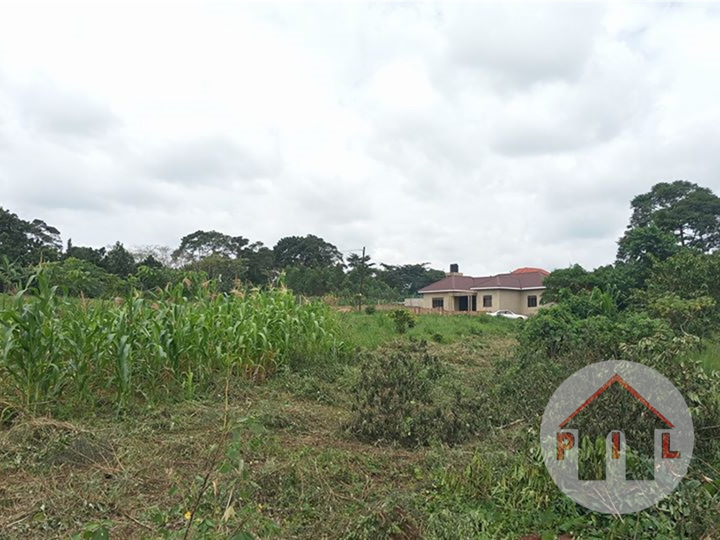 Agricultural Land for sale in Entebbe Kampala