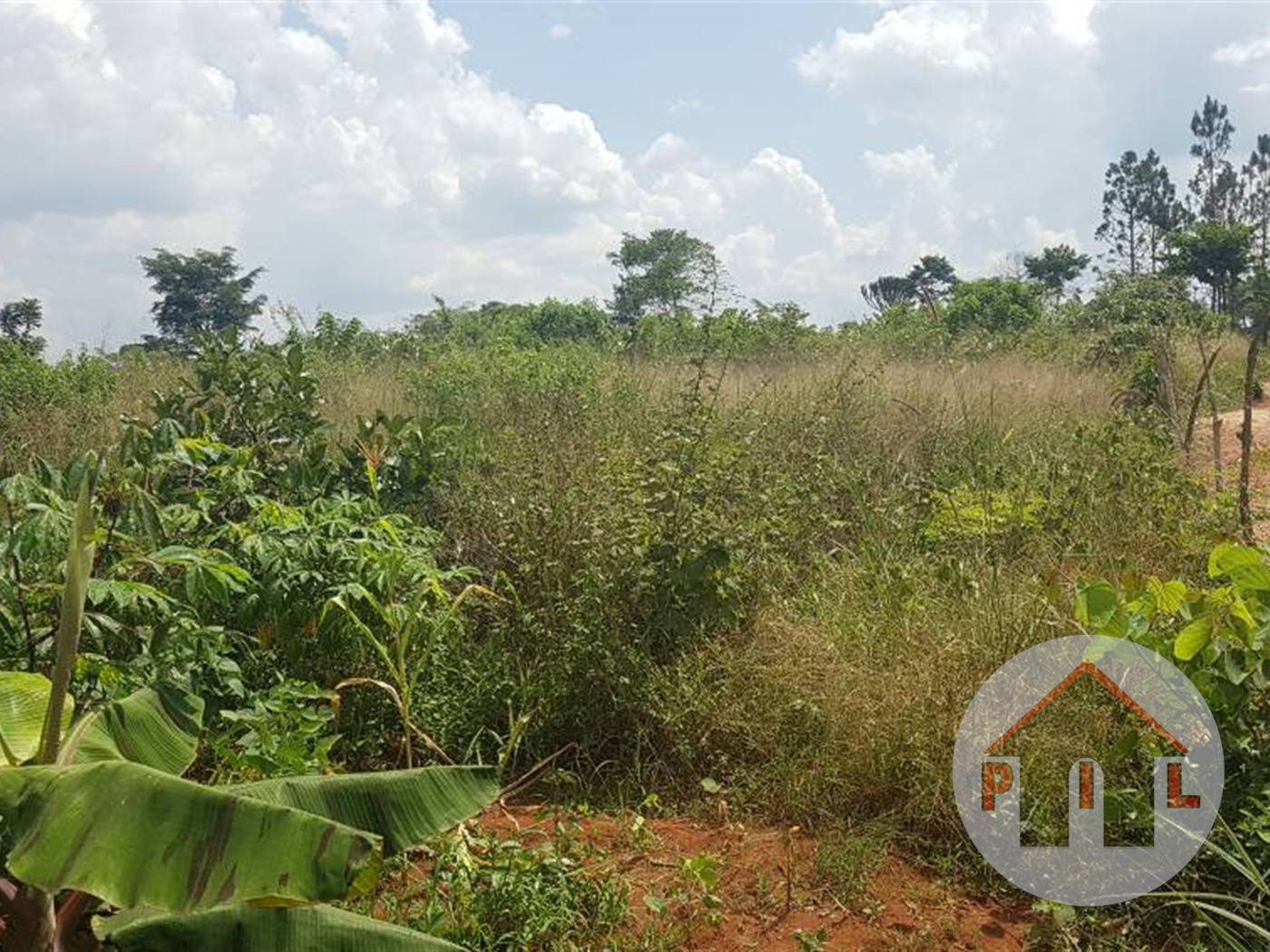 Multipurpose Land for sale in Ziloobwe Luweero