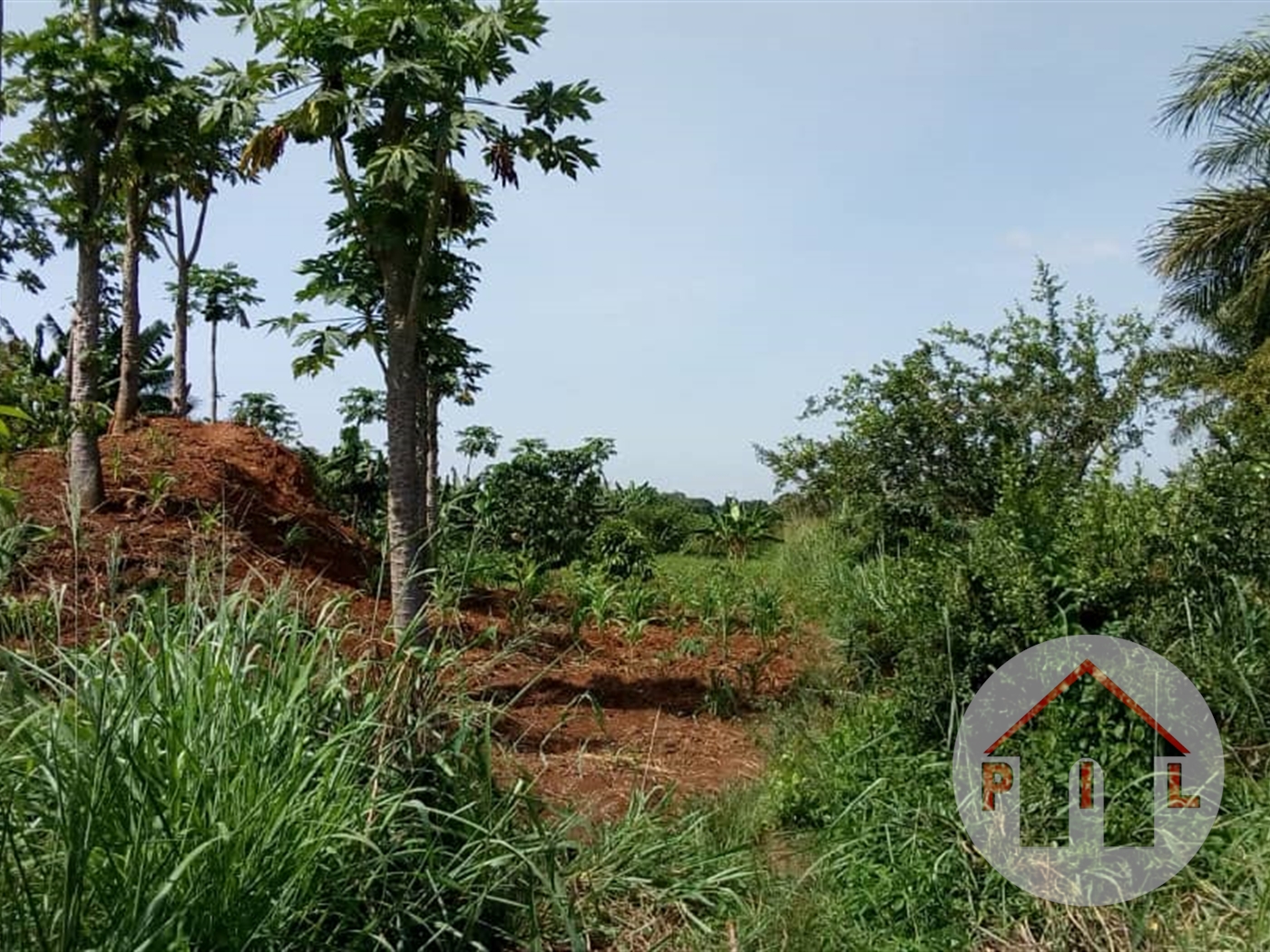 Agricultural Land for sale in Kikyuusa Luweero