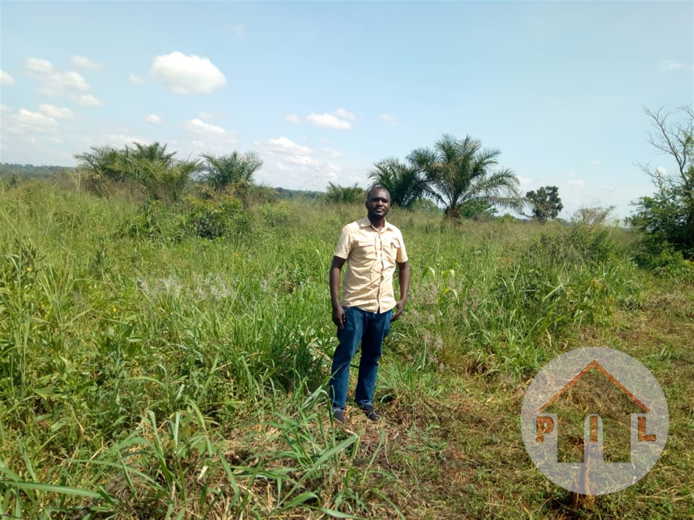 Agricultural Land for sale in Lugazi Mukono