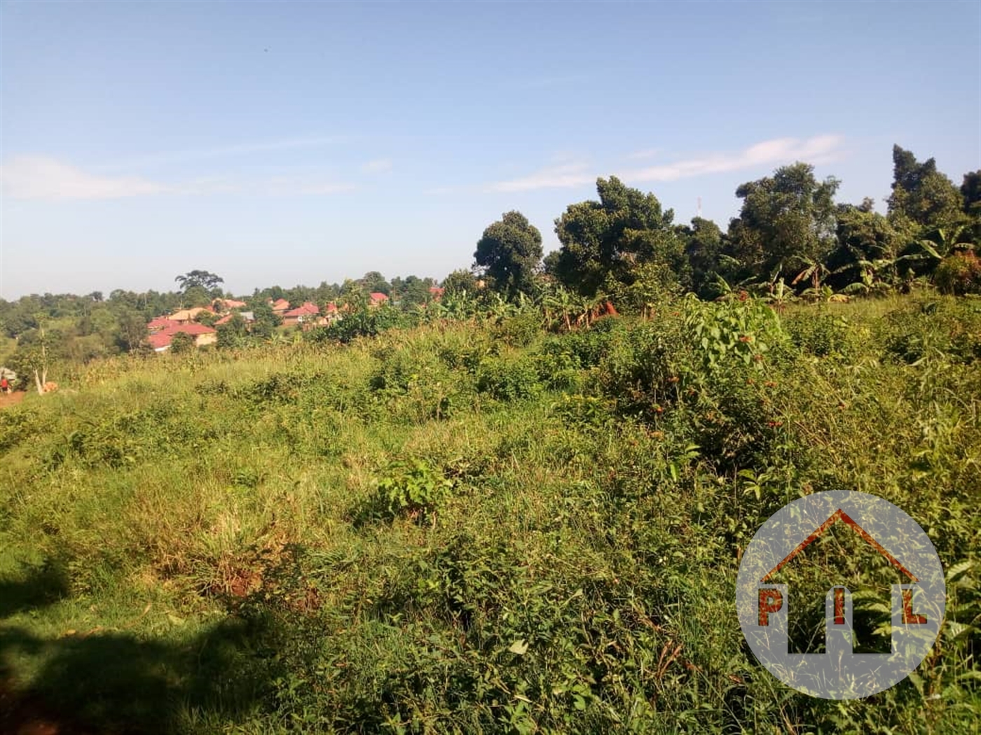 Agricultural Land for sale in Kyalinga Mubende