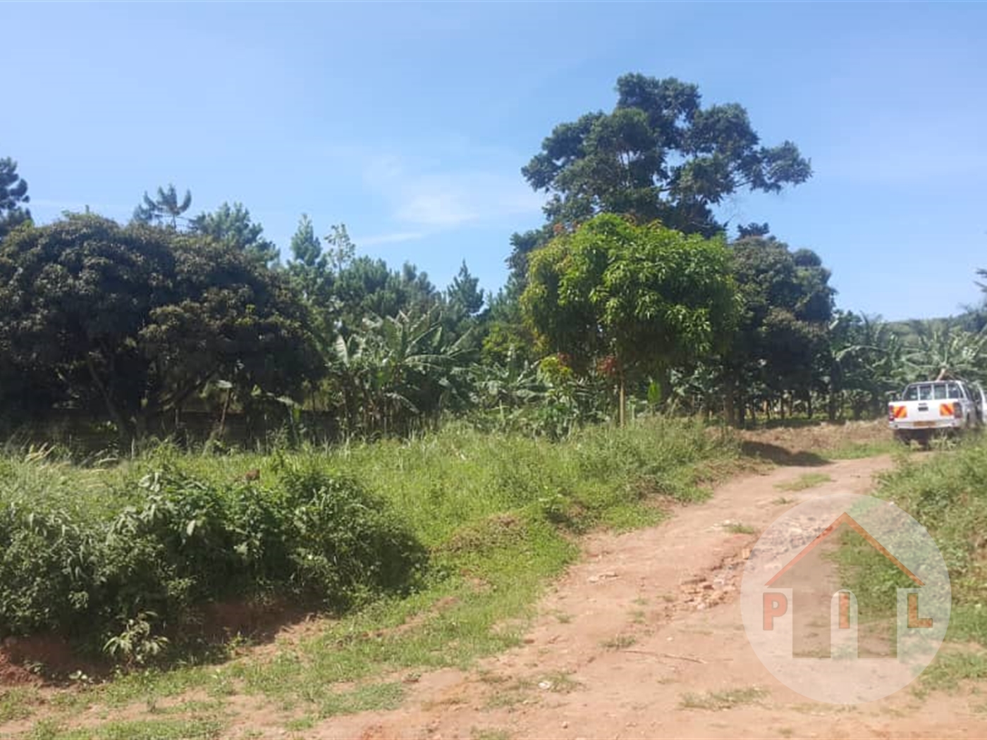 Agricultural Land for sale in Lutembe Wakiso