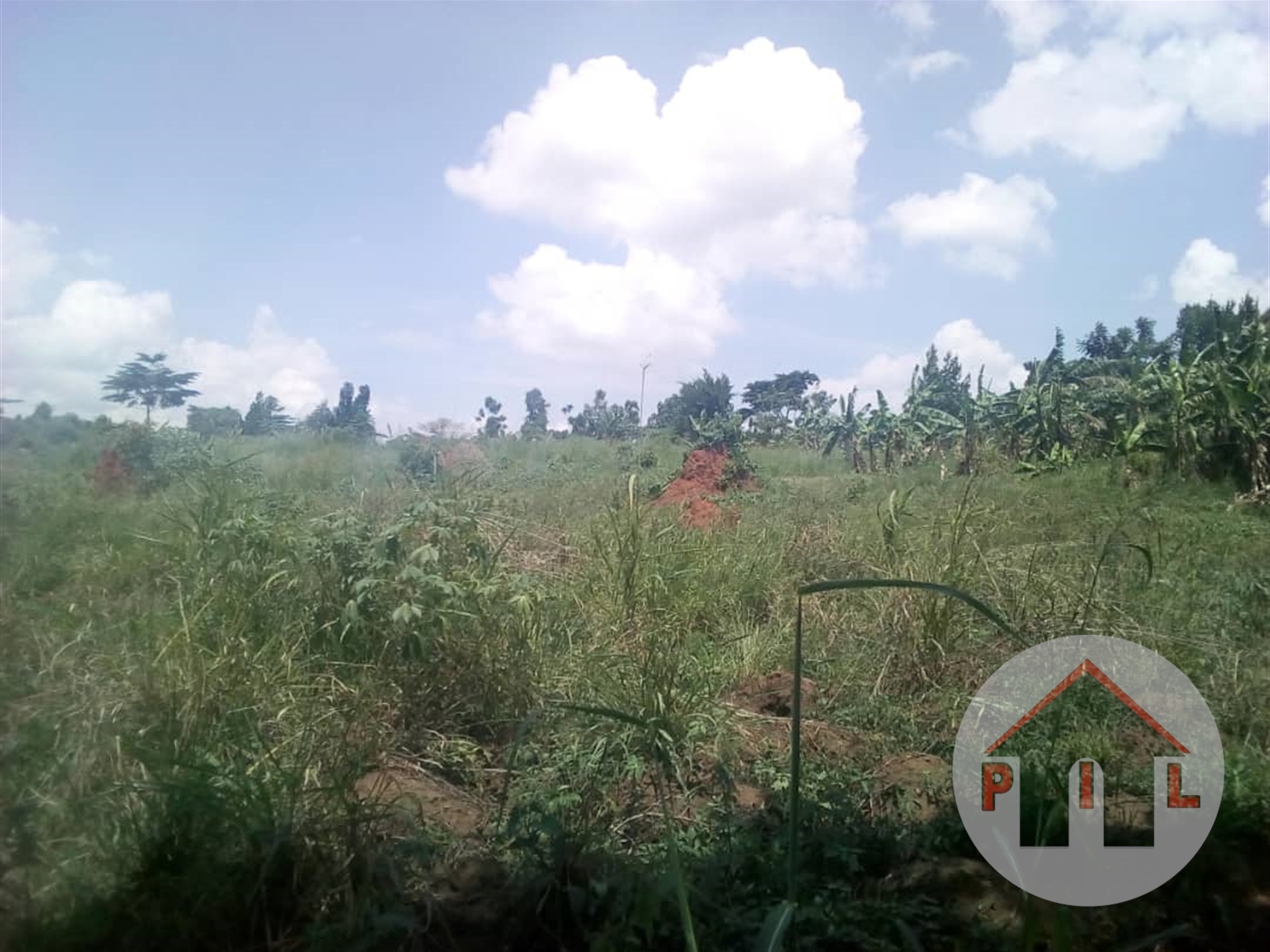 Agricultural Land for sale in Bwebajja Wakiso
