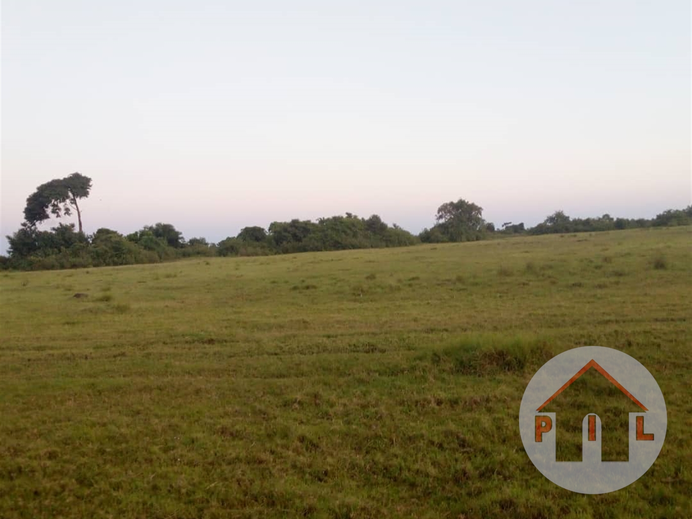 Agricultural Land for sale in Kitukutwe Wakiso