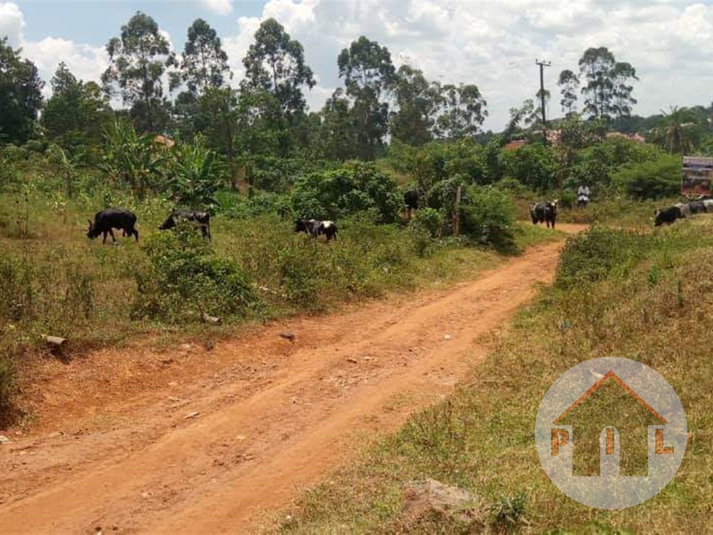 Agricultural Land for sale in Bombo Wakiso