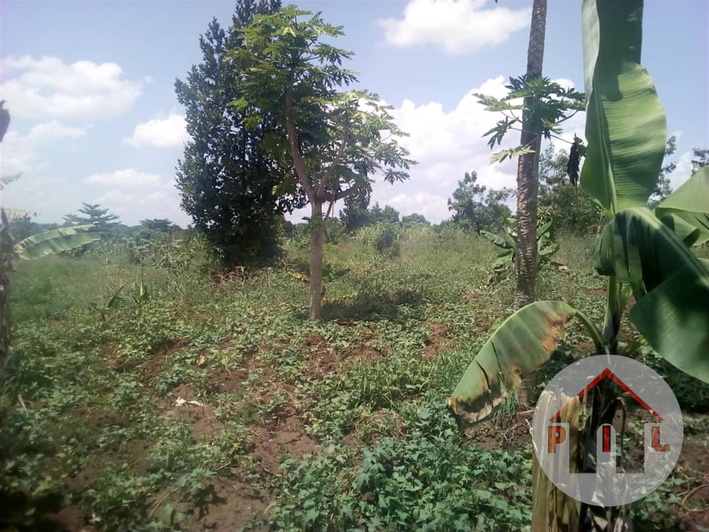 Agricultural Land for sale in Muduuma Mityana