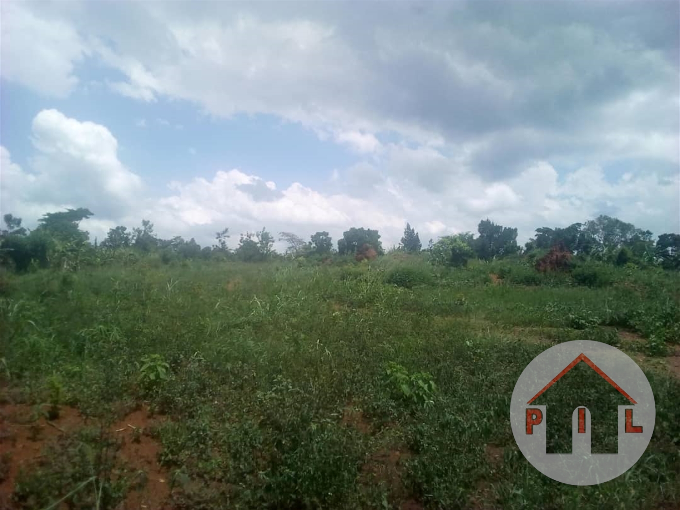 Agricultural Land for sale in Muduuma Mityana