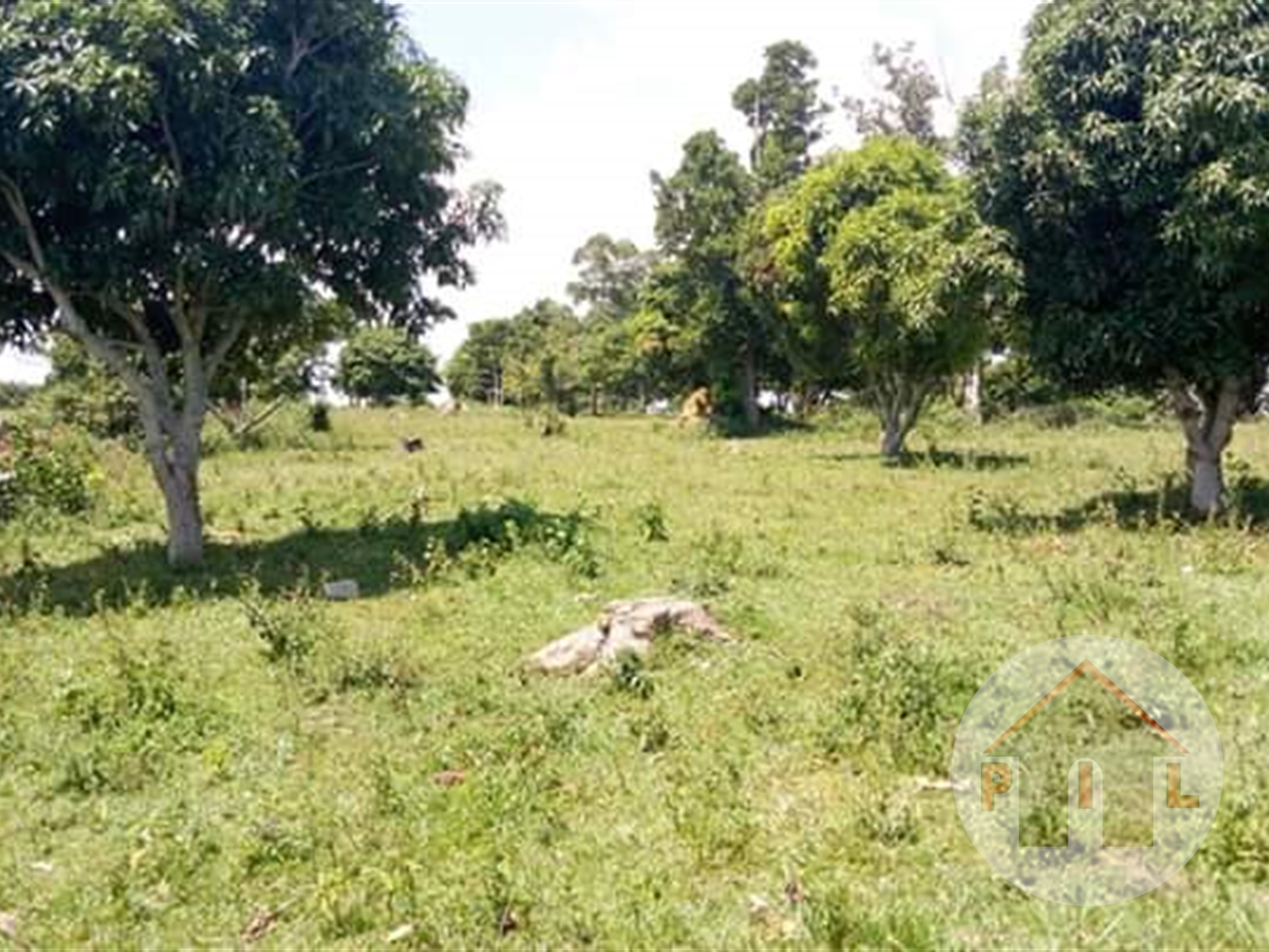 Agricultural Land for sale in Kasanjje Wakiso