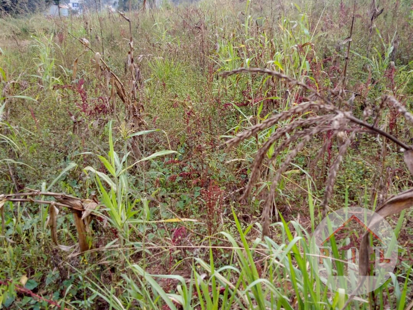 Residential Land for sale in Gayaza Wakiso