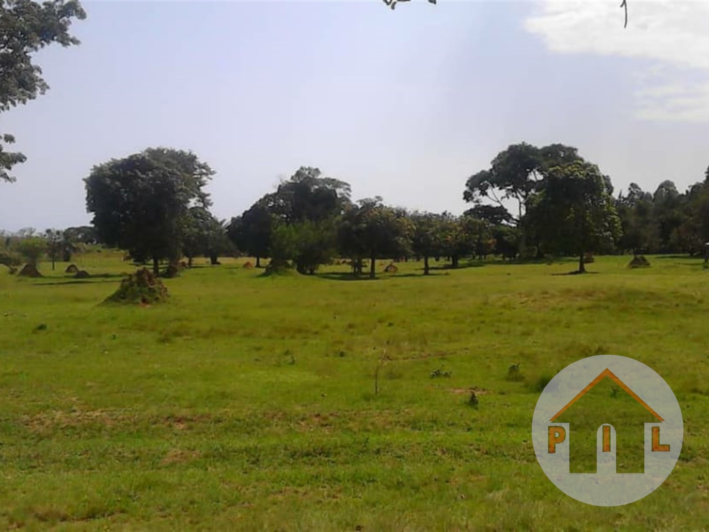 Agricultural Land for sale in Butuntumula Luweero
