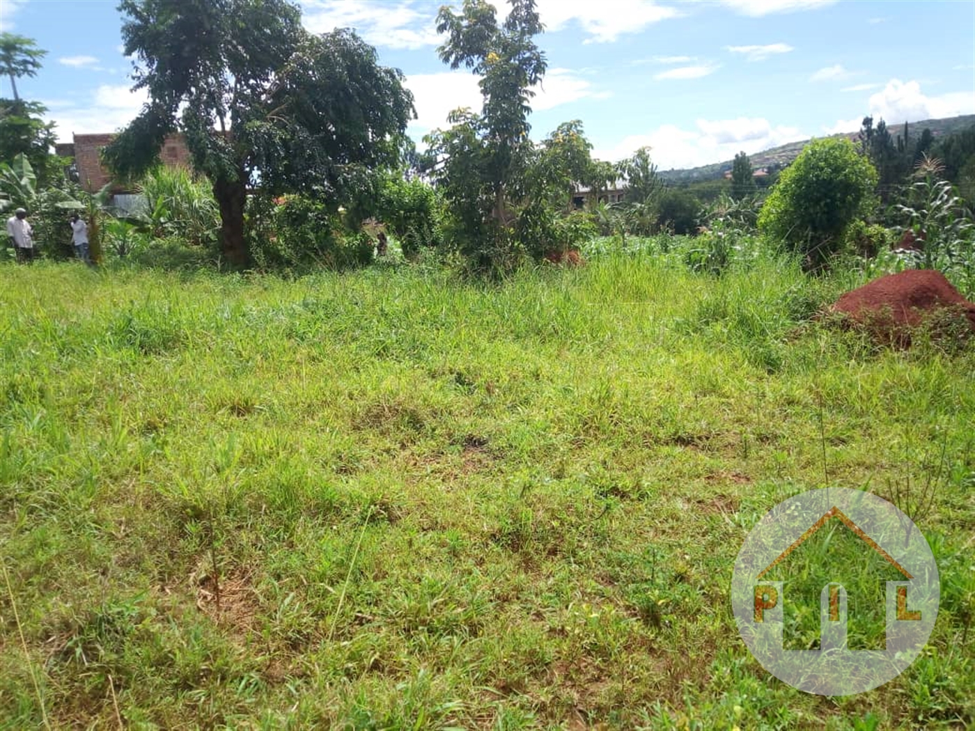 Agricultural Land for sale in Gayaza Wakiso