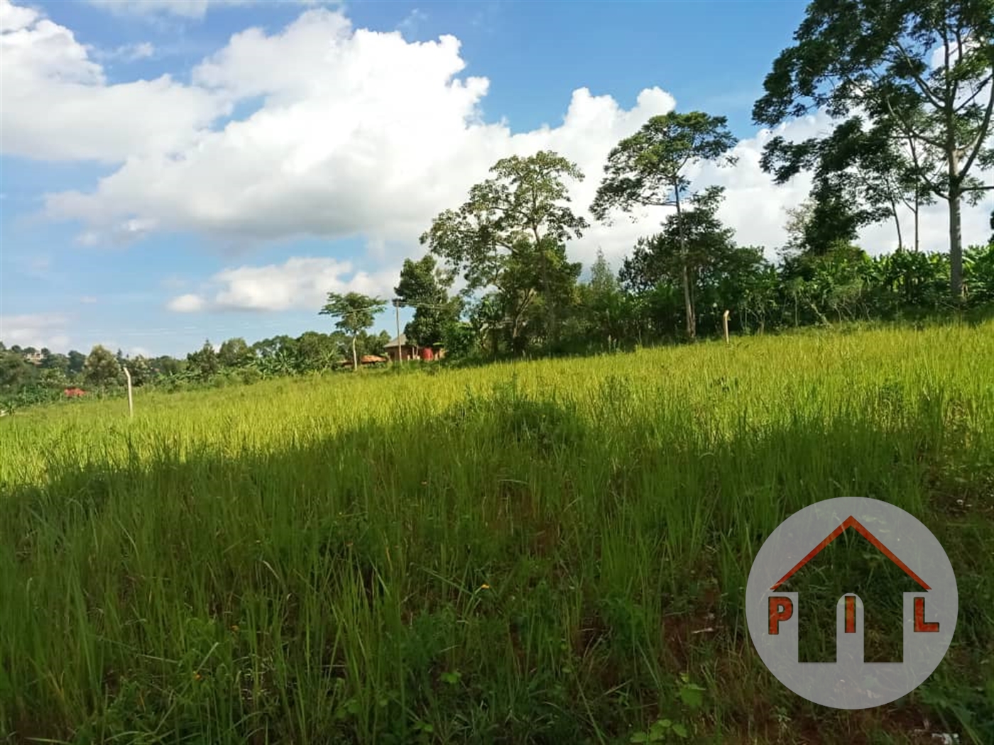 Residential Land for sale in Bukomelo Kiboga