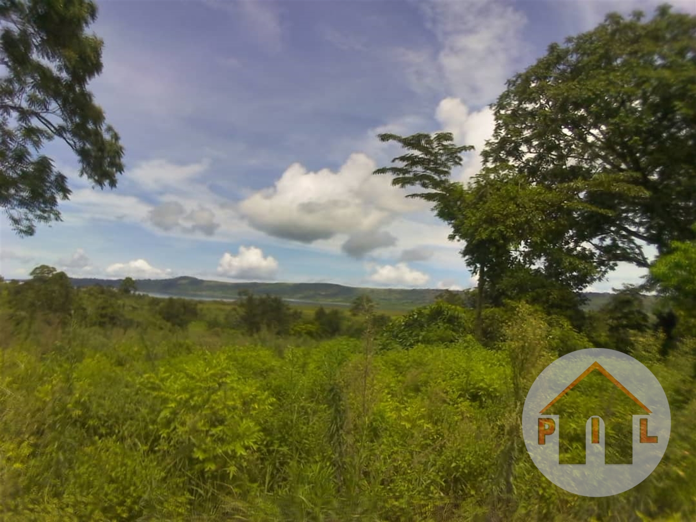 Agricultural Land for sale in Ziloobwe Luweero