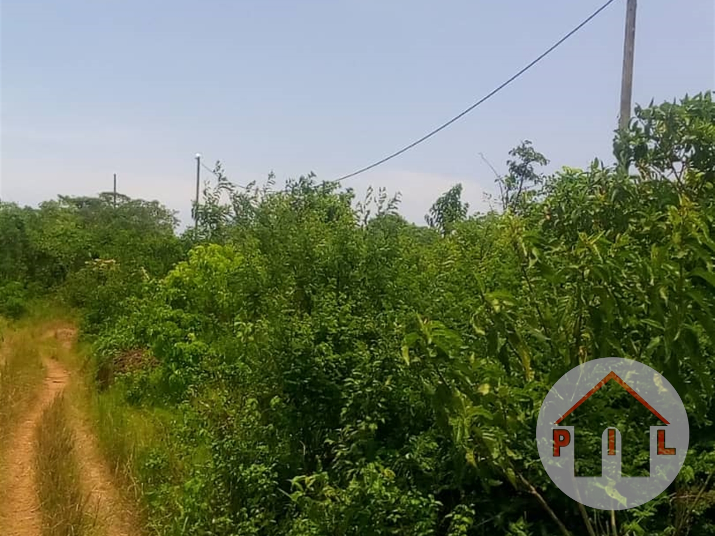 Agricultural Land for sale in Kasanjje Wakiso