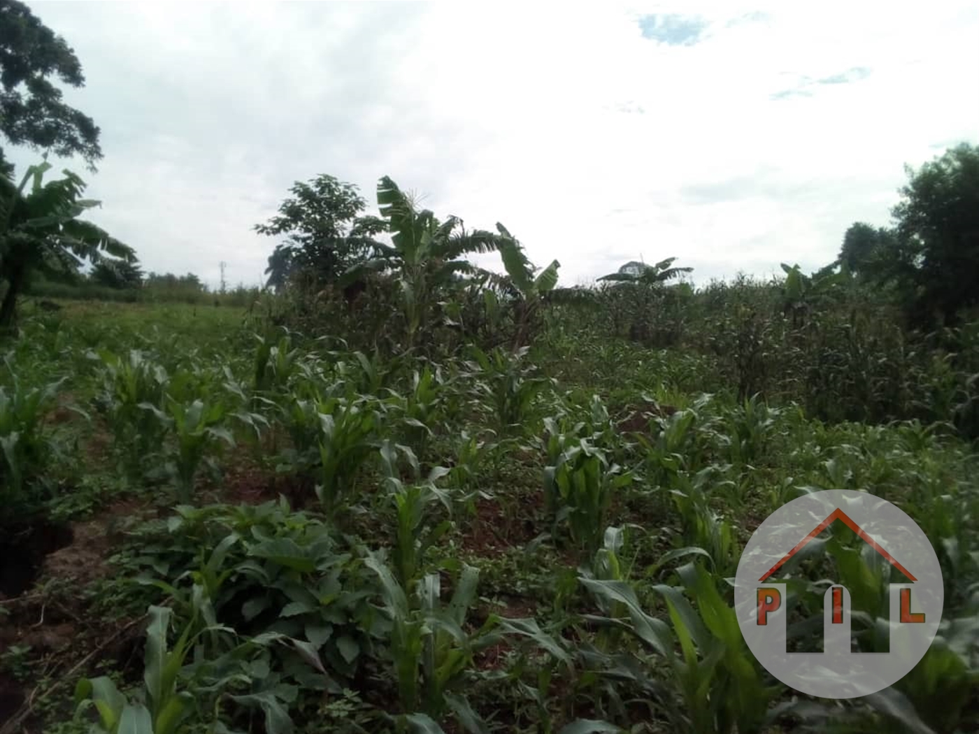 Residential Land for sale in Kumusaanvu Wakiso