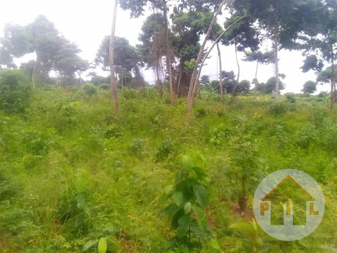 Residential Land for sale in Nkokonjeru Mbarara