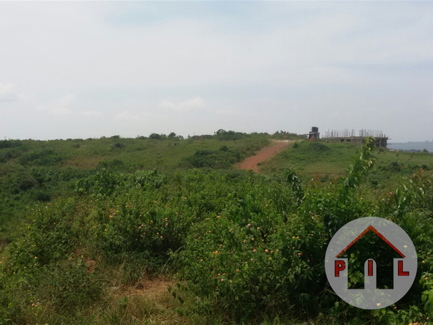 Agricultural Land for sale in Kanyaryeru Mbarara