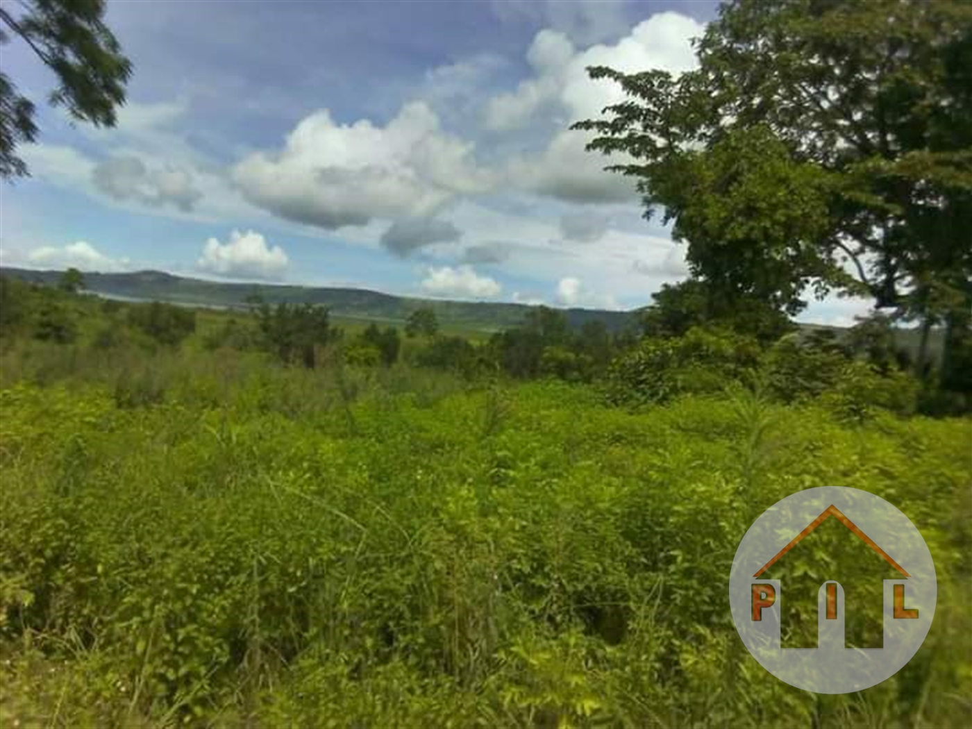 Agricultural Land for sale in Kashaka Mbarara