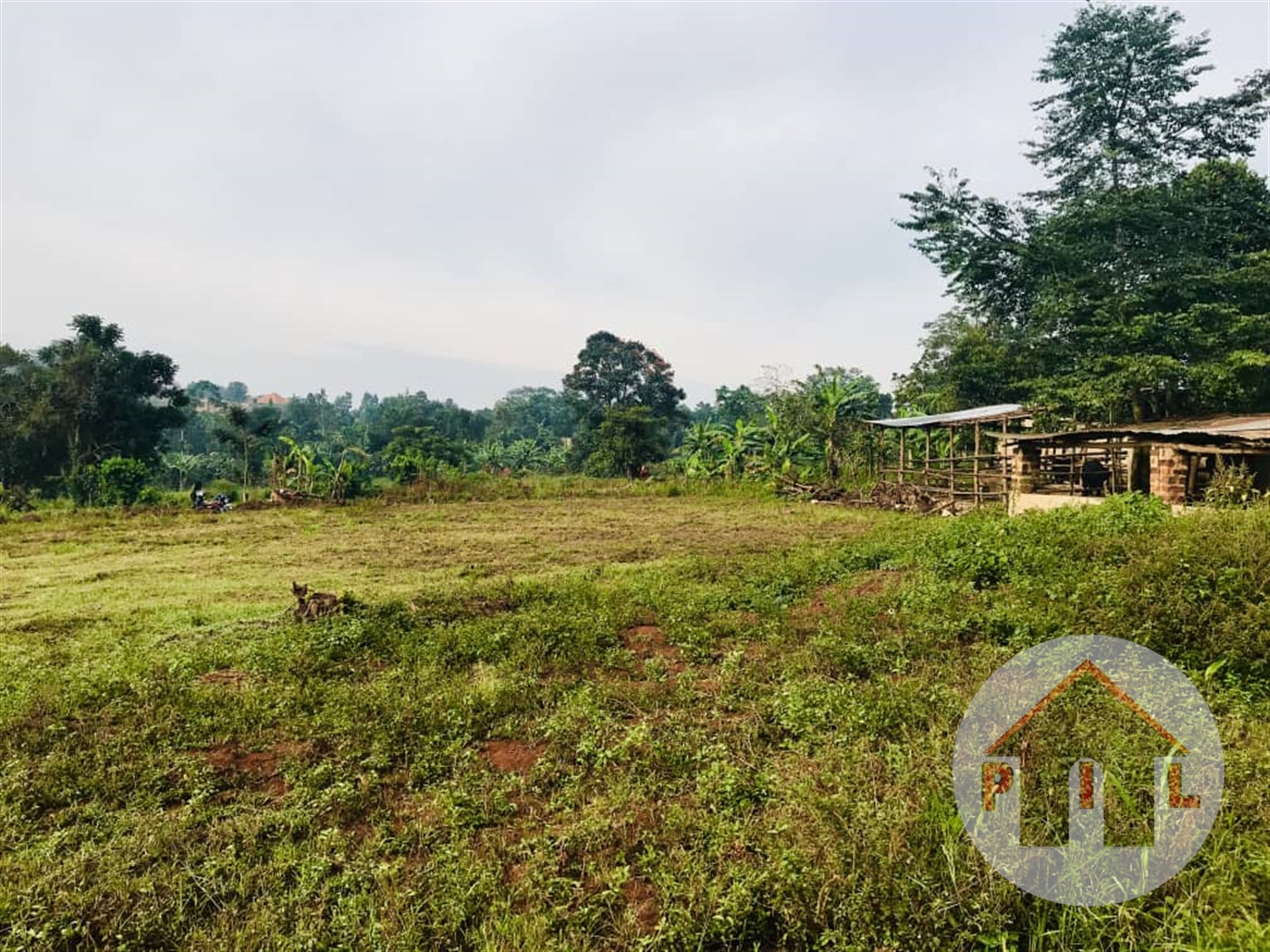 Agricultural Land for sale in Isingiro Mbarara