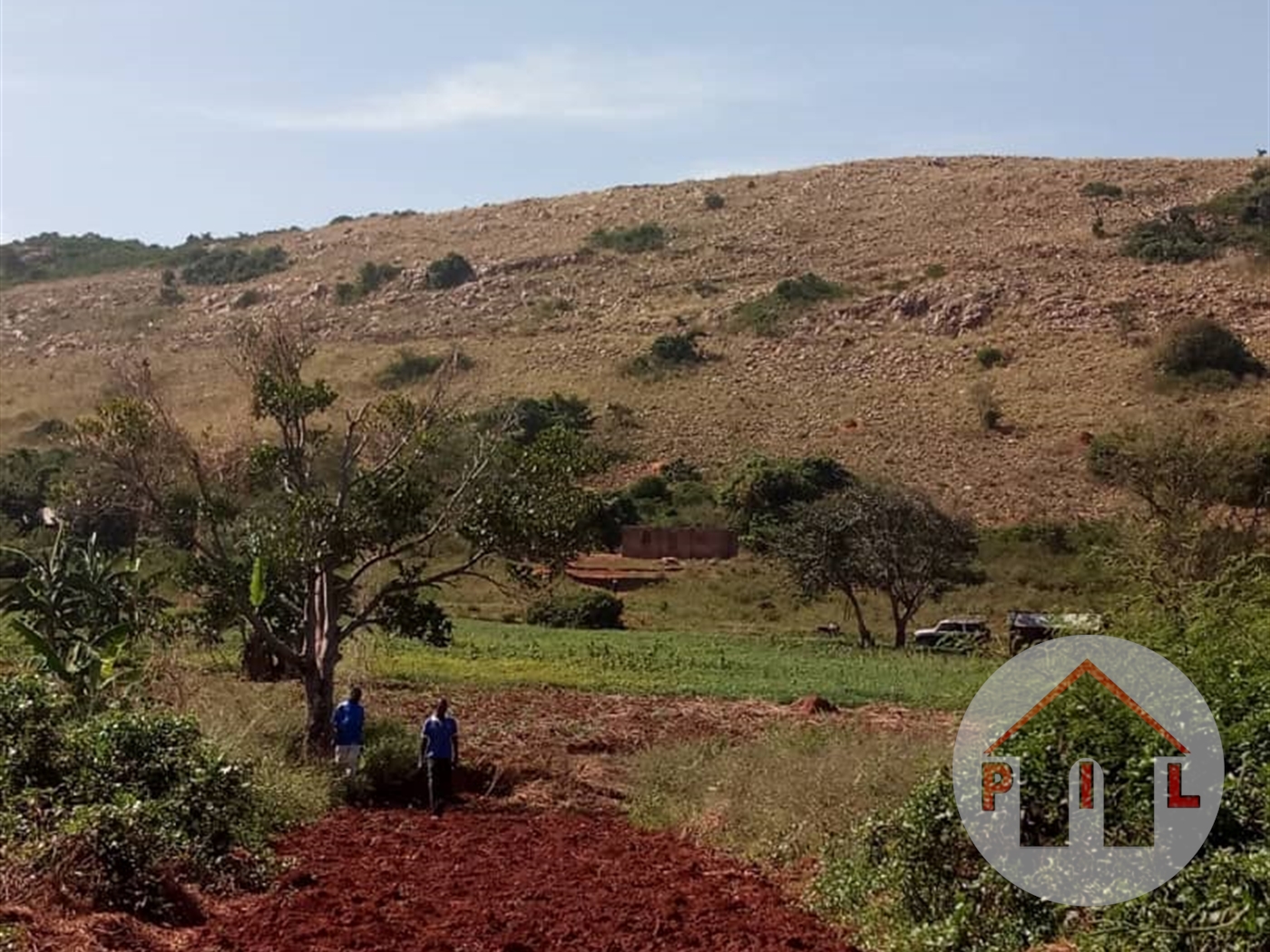 Agricultural Land for sale in Rwanyangwe Kiruhura