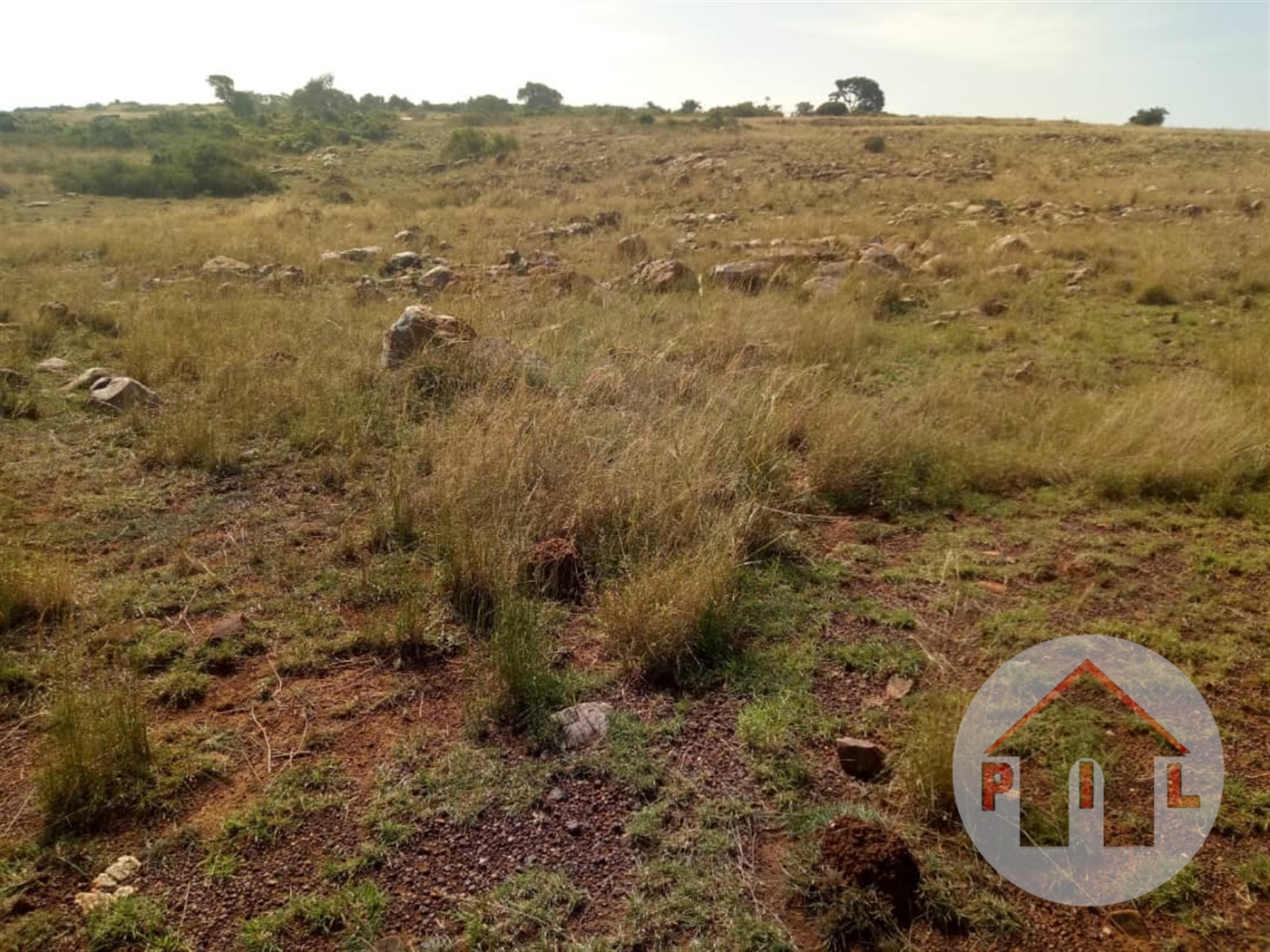 Agricultural Land for sale in Kibega Mbarara