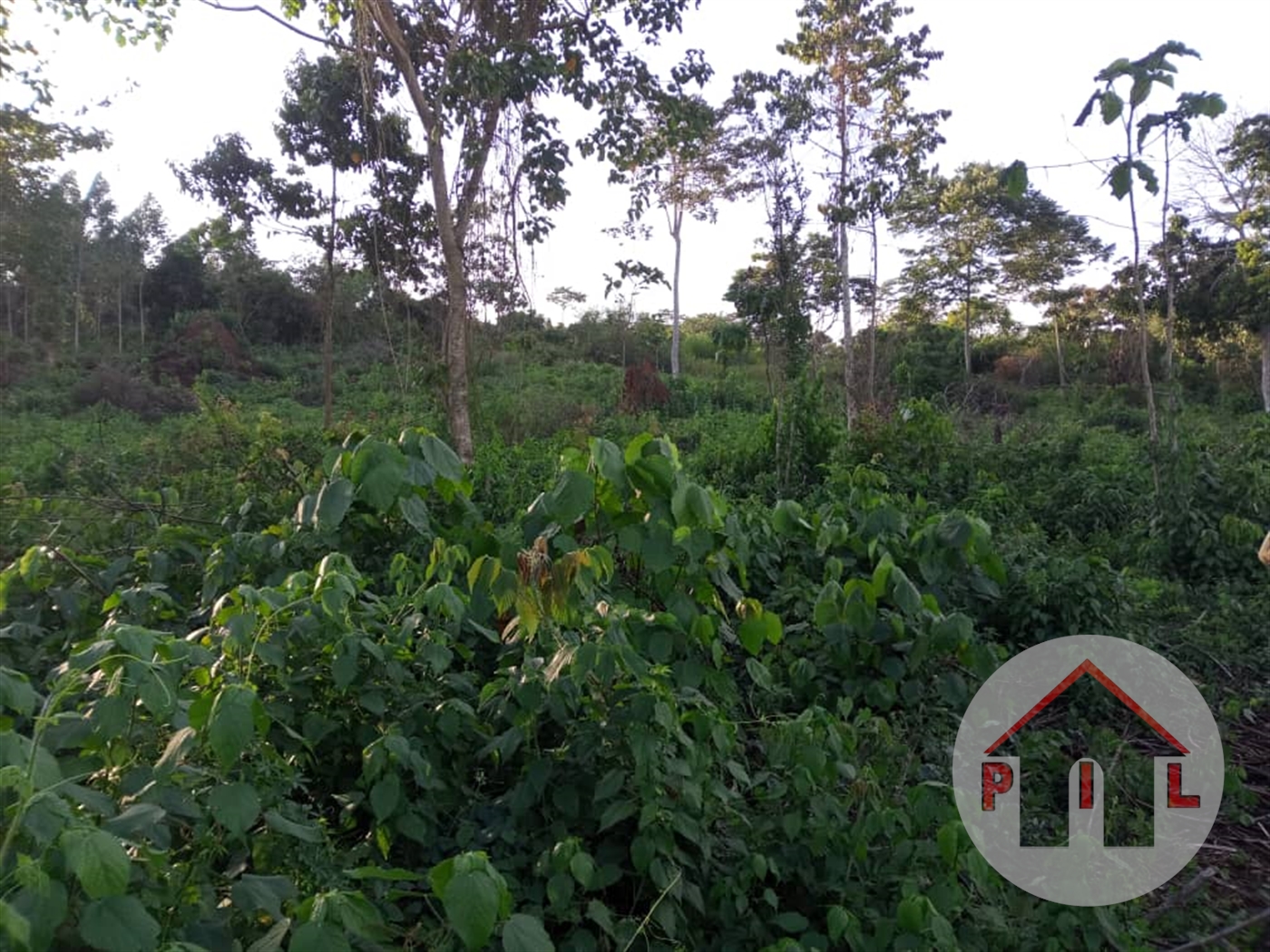 Residential Land for sale in Gayaza Wakiso