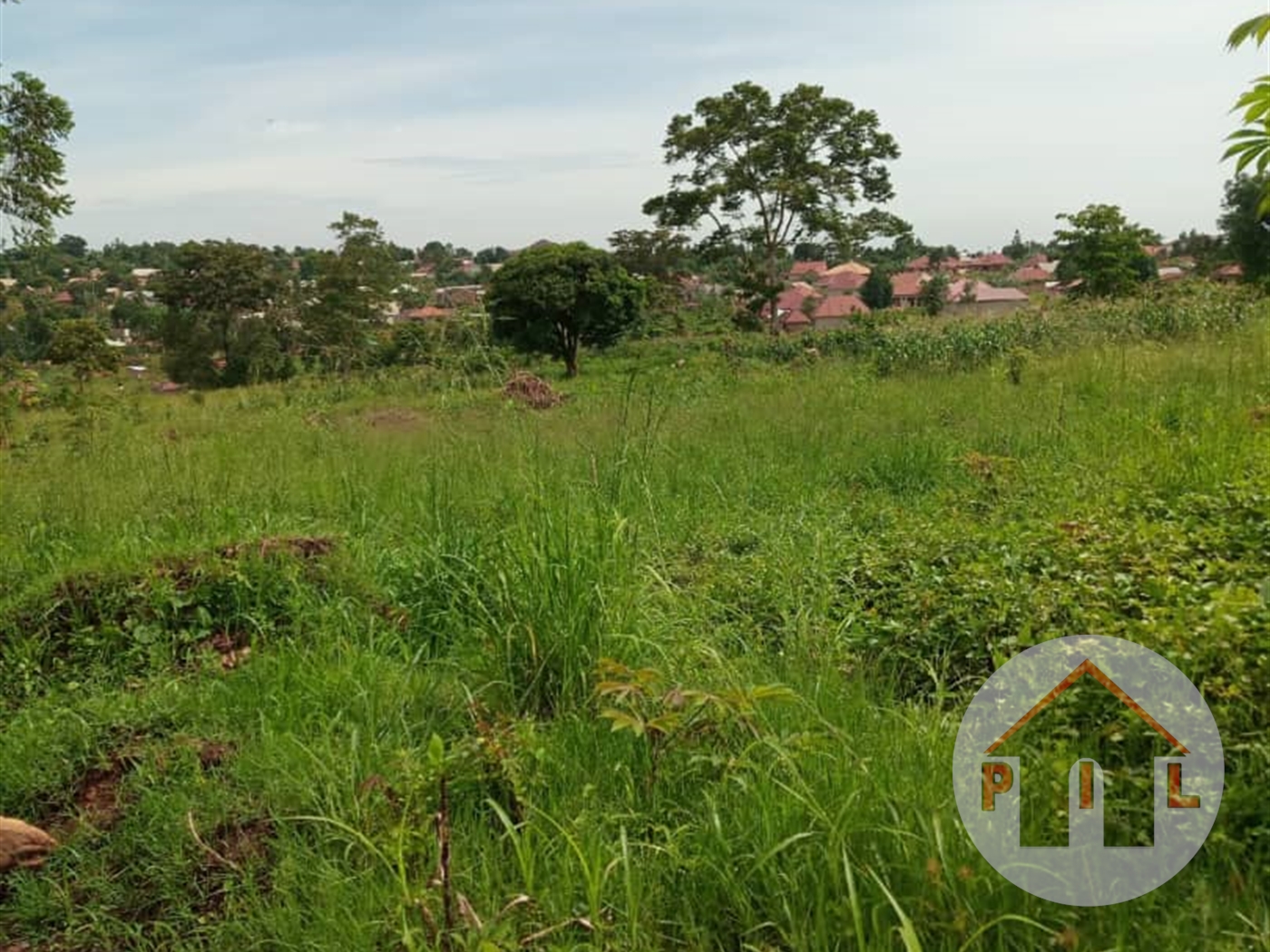 Agricultural Land for sale in Ziloobwe Luweero