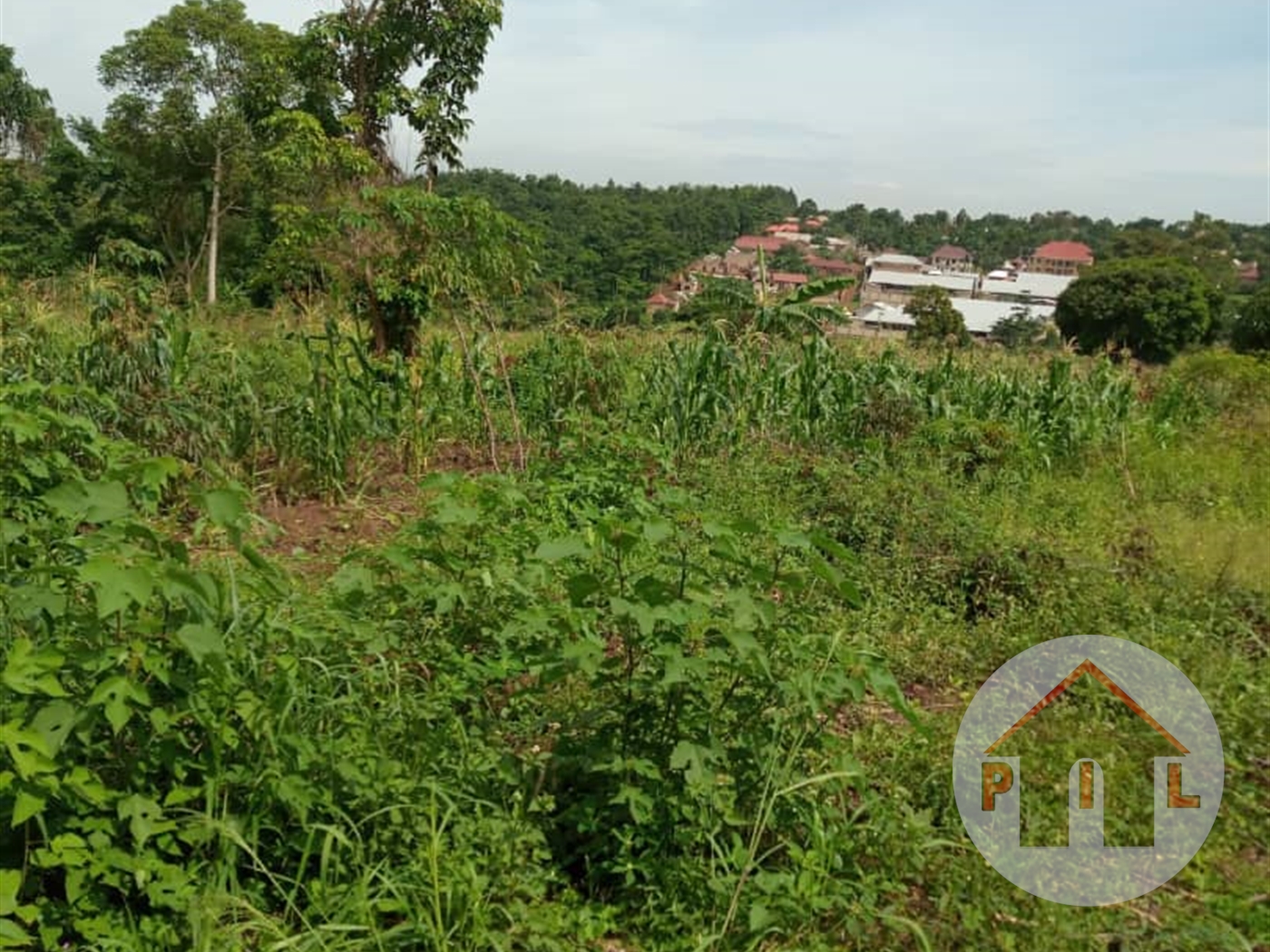 Agricultural Land for sale in Ziloobwe Luweero