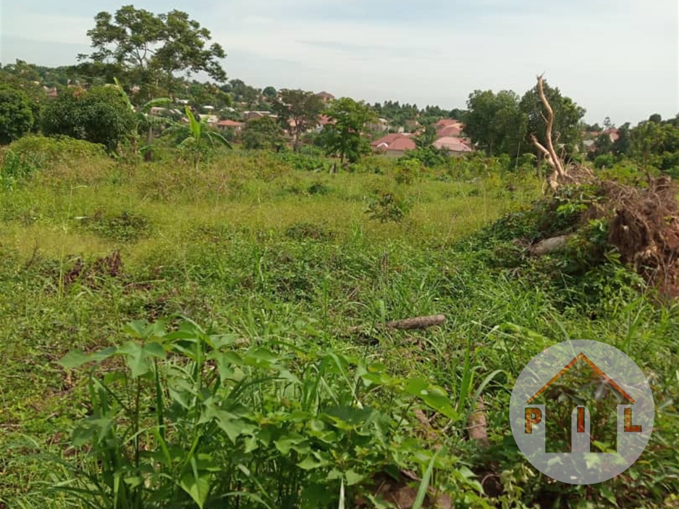 Agricultural Land for sale in Ziloobwe Luweero