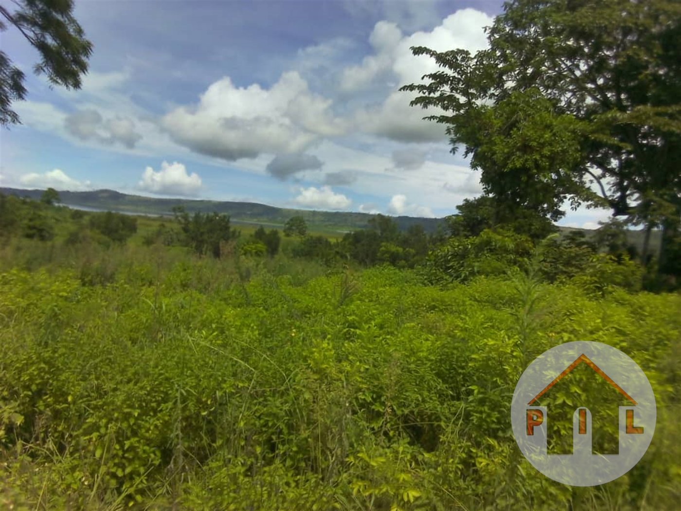 Agricultural Land for sale in Kikonge Mityana