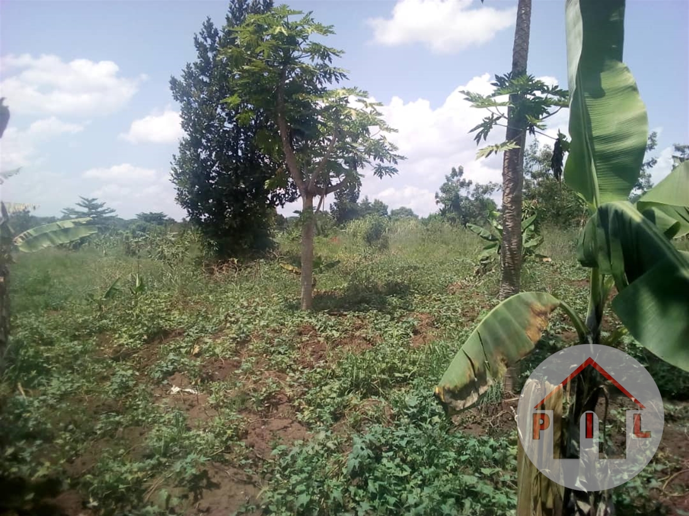 Agricultural Land for sale in Ziloobwe Luweero