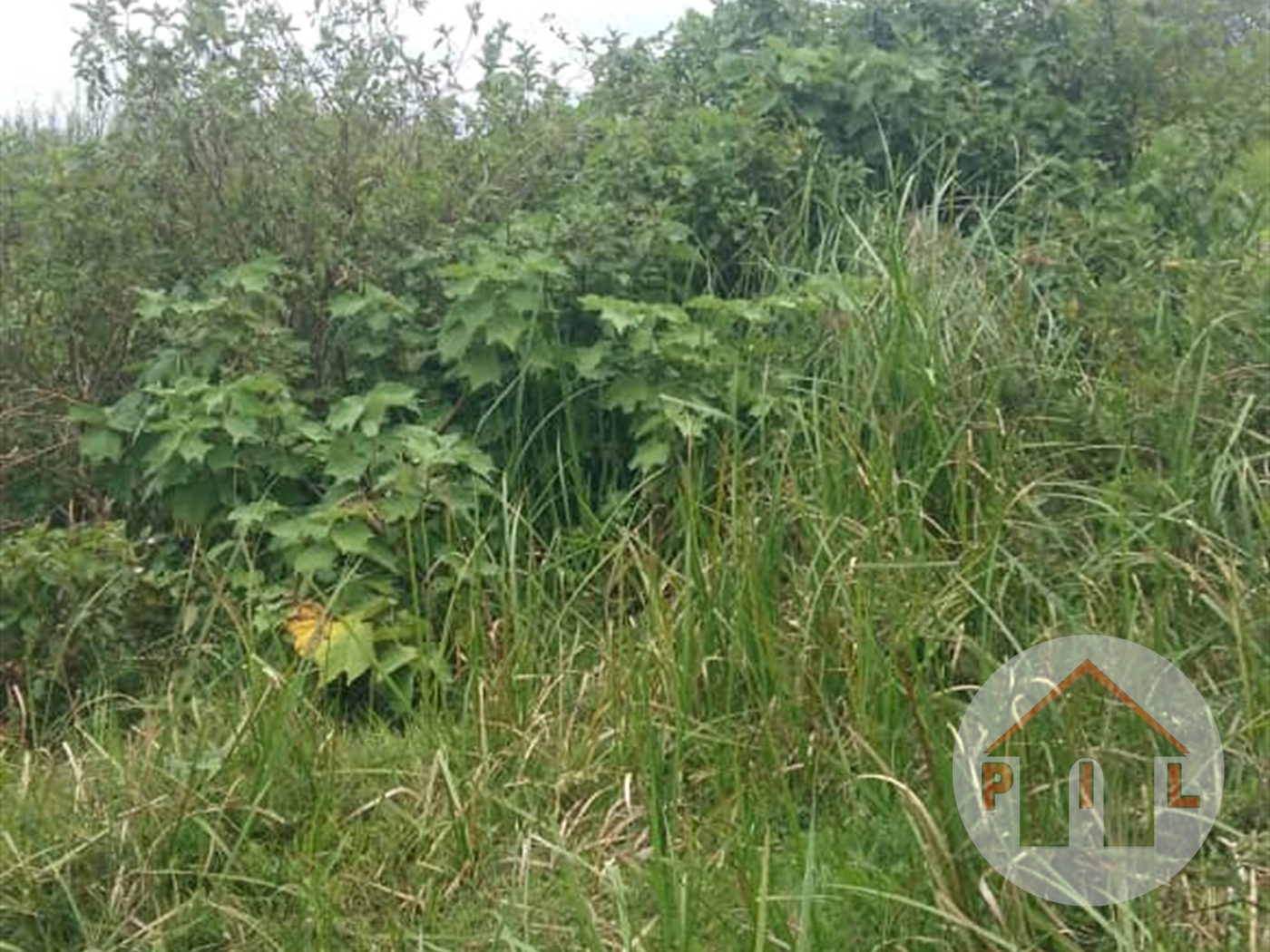 Agricultural Land for sale in Entebbe Wakiso