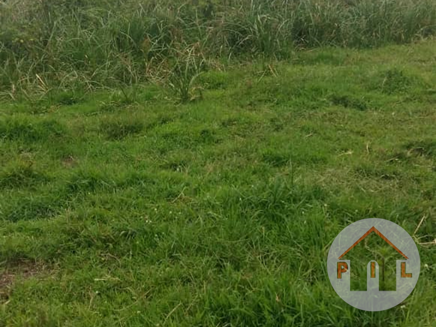 Agricultural Land for sale in Entebbe Wakiso