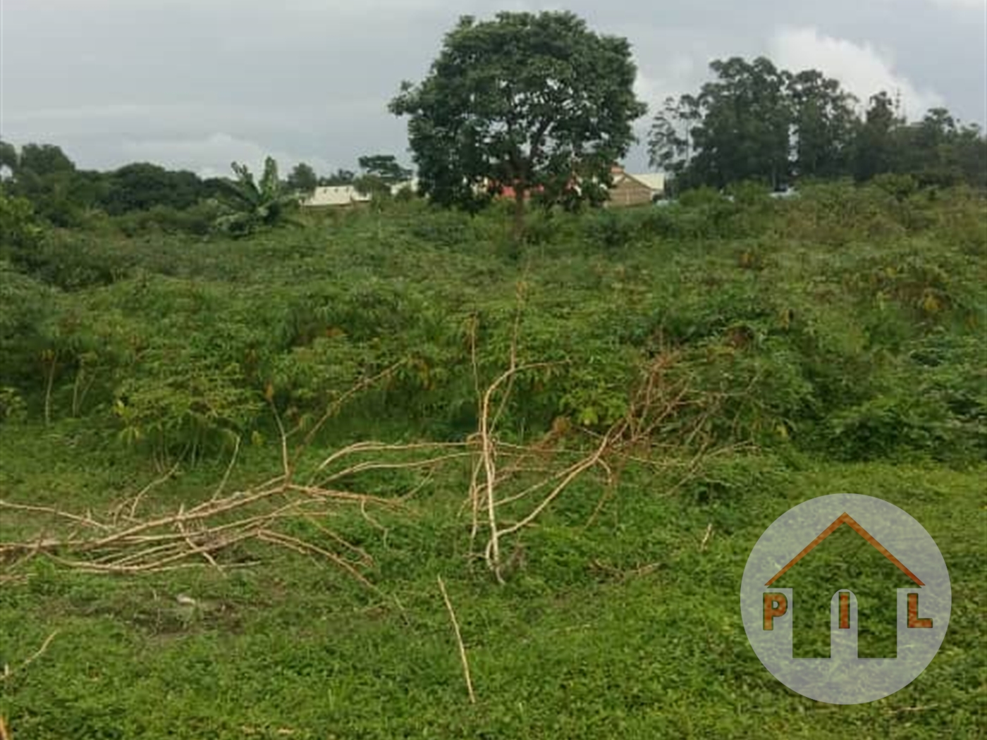 Agricultural Land for sale in Entebbe Wakiso