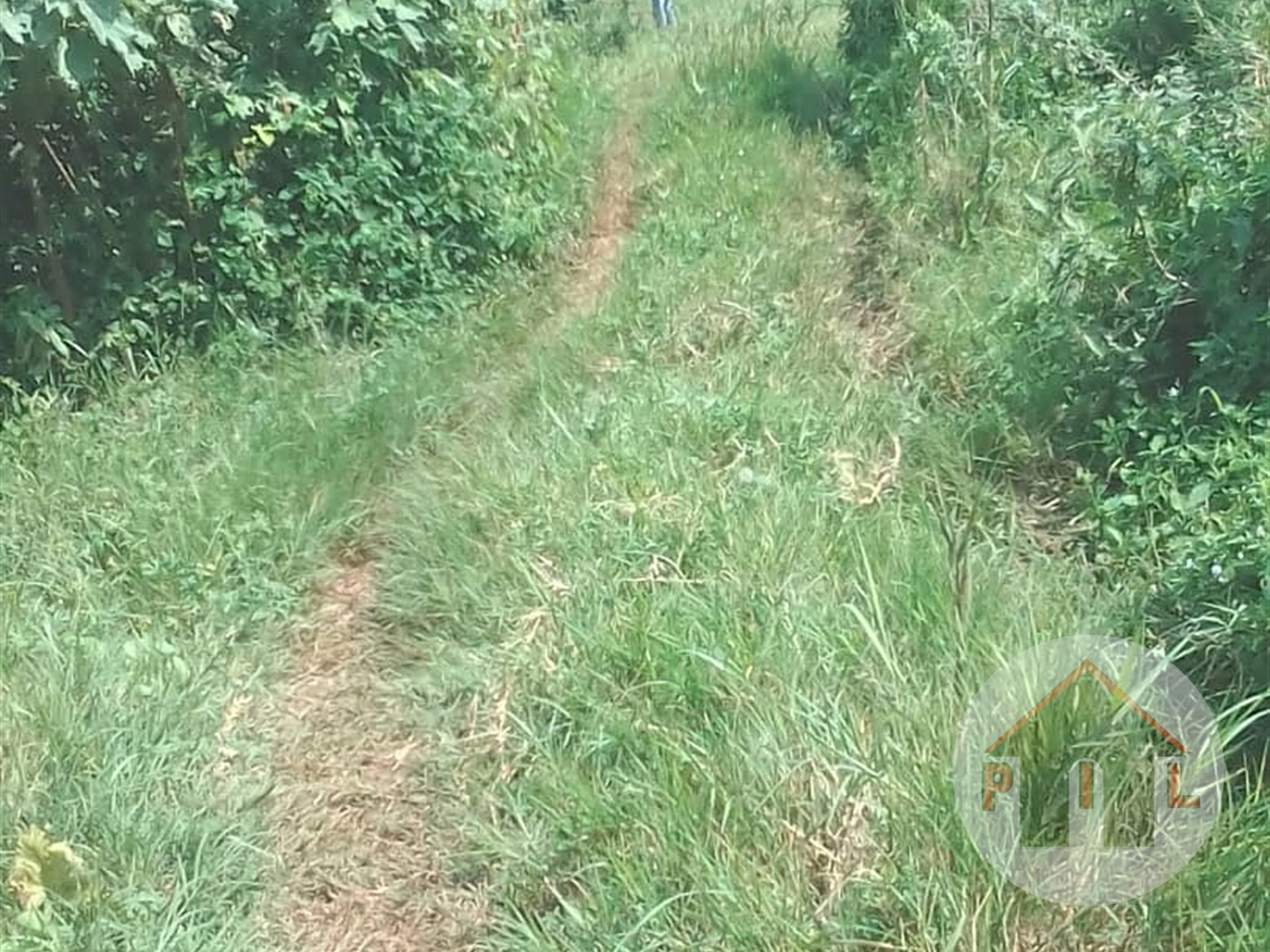 Agricultural Land for sale in Matugga Wakiso