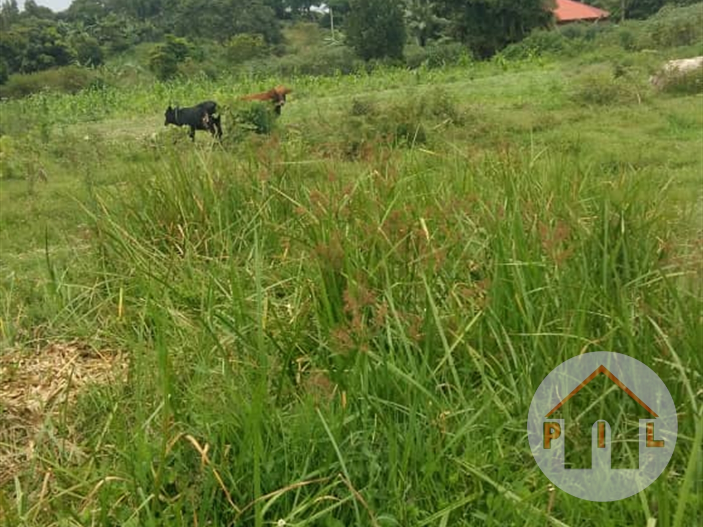 Residential Land for sale in Kyanja Kampala