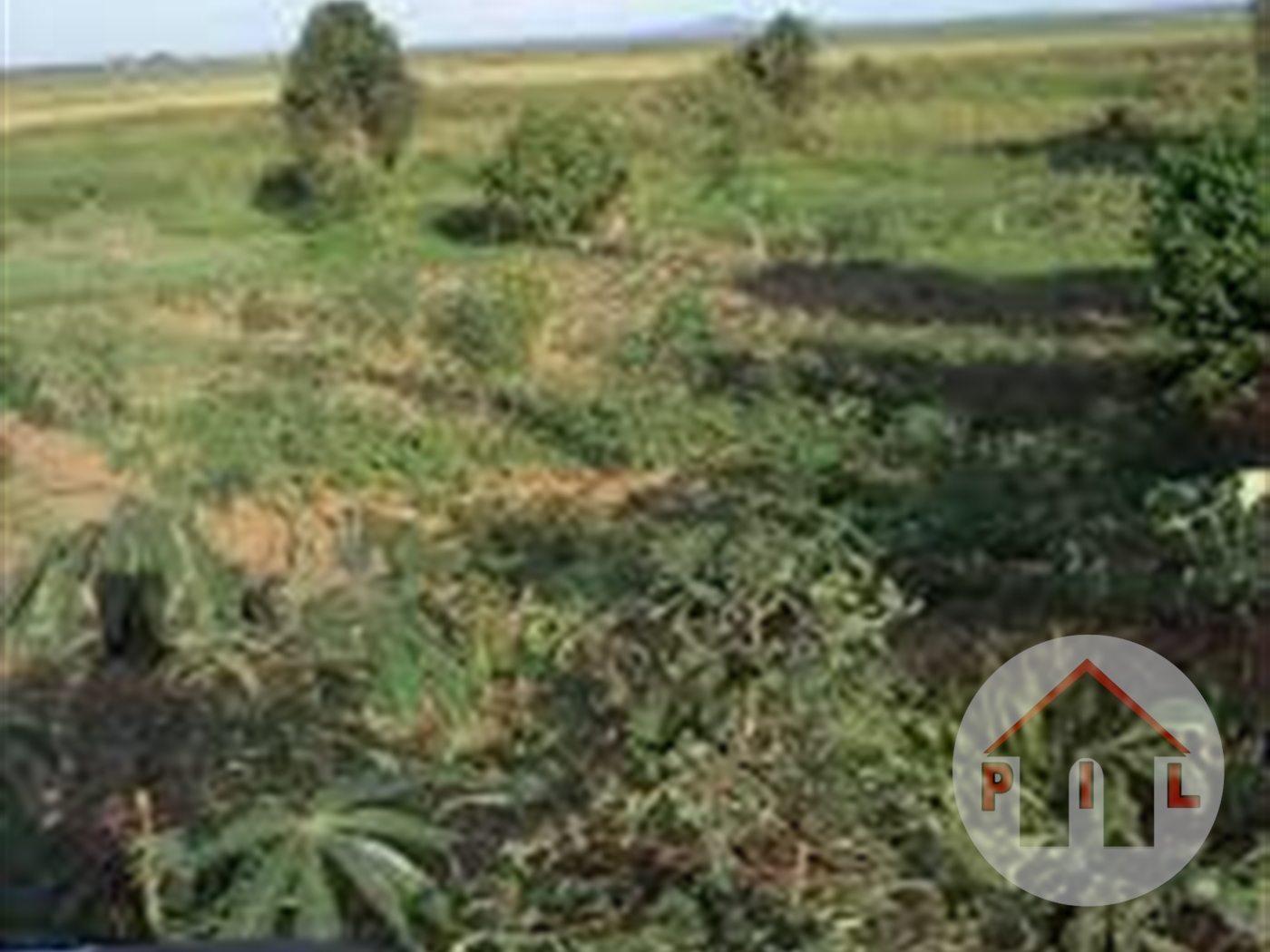 Agricultural Land for sale in Migyeera Nakasongola