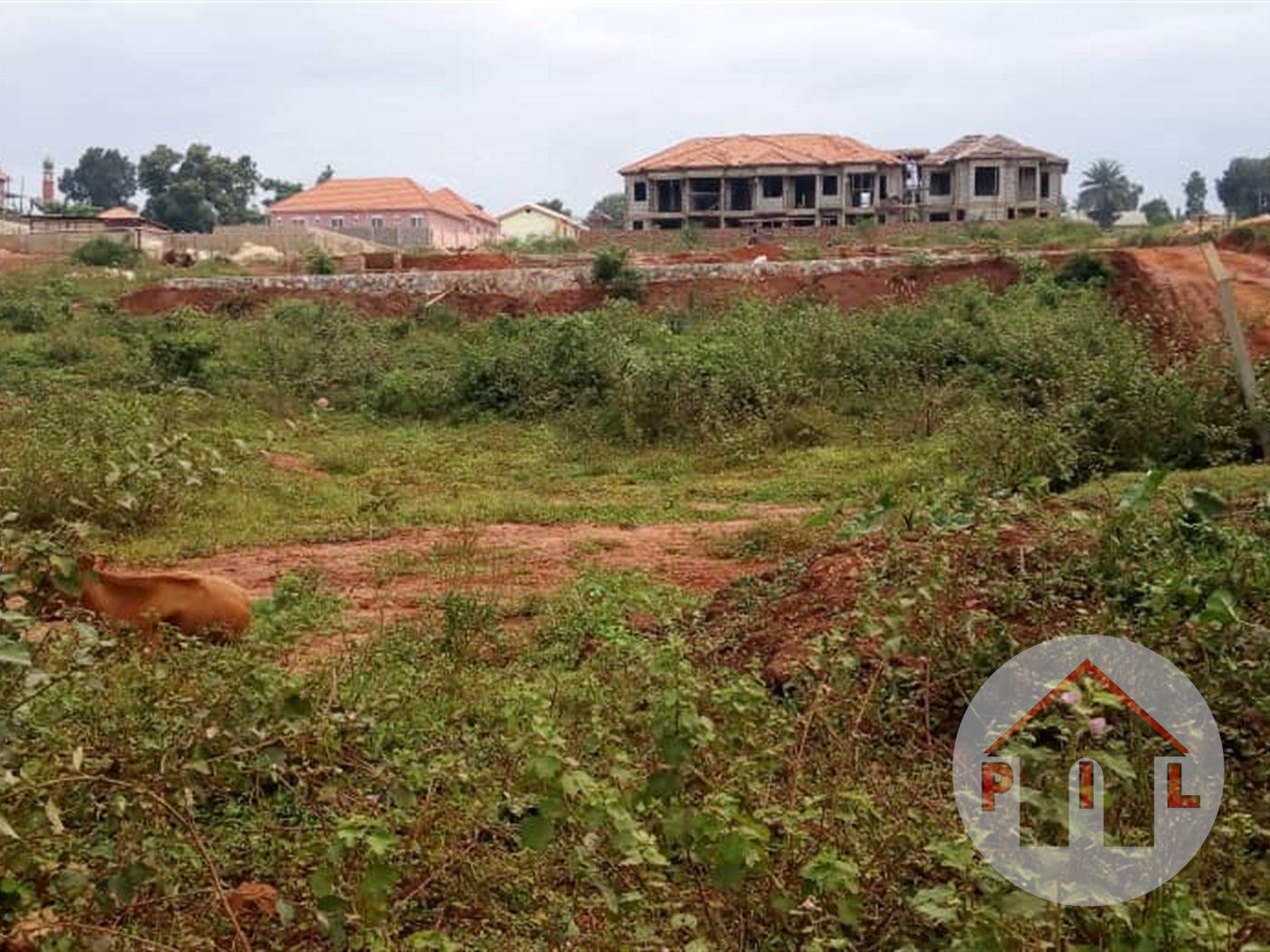 Residential Land for sale in Kyanja Wakiso