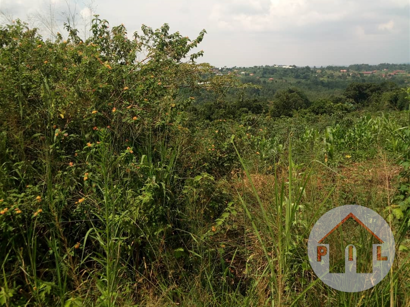 Residential Land for sale in Nalukolongo Wakiso