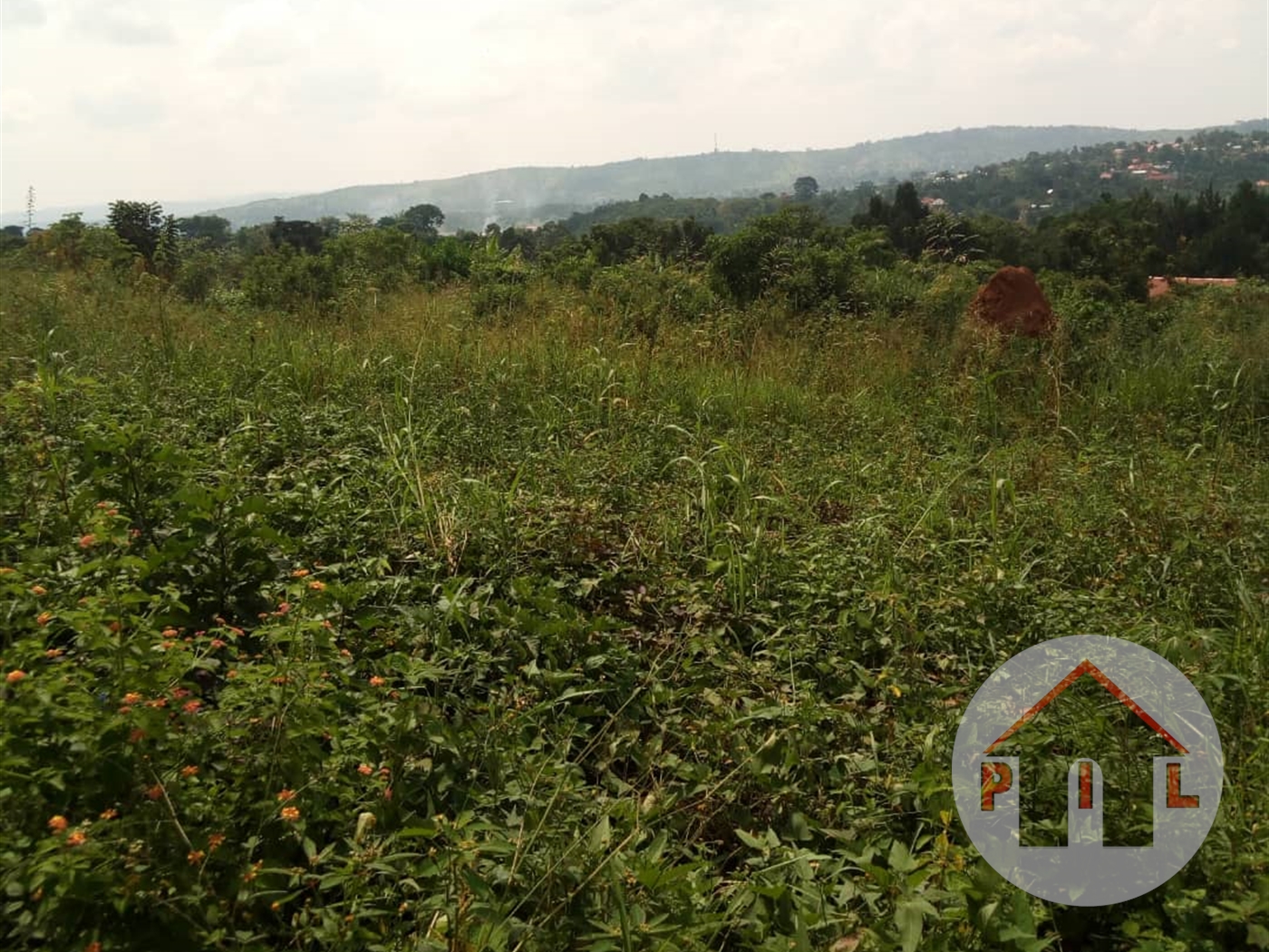 Agricultural Land for sale in Masaka Masaka