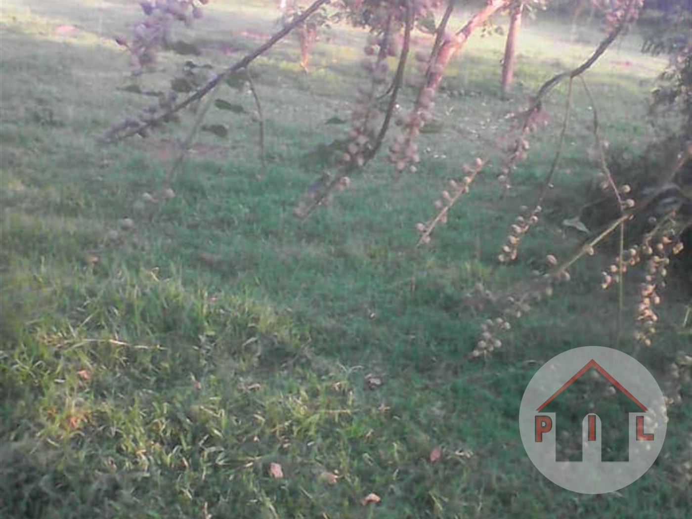 Agricultural Land for sale in Kassanda Mubende