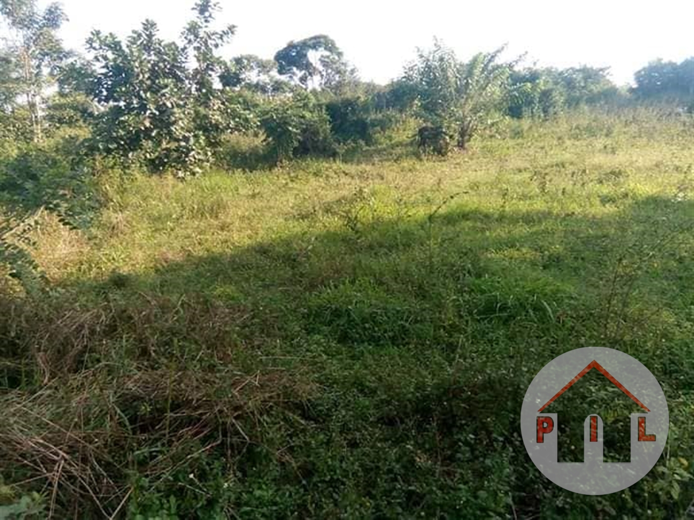 Agricultural Land for sale in Kassanda Mubende