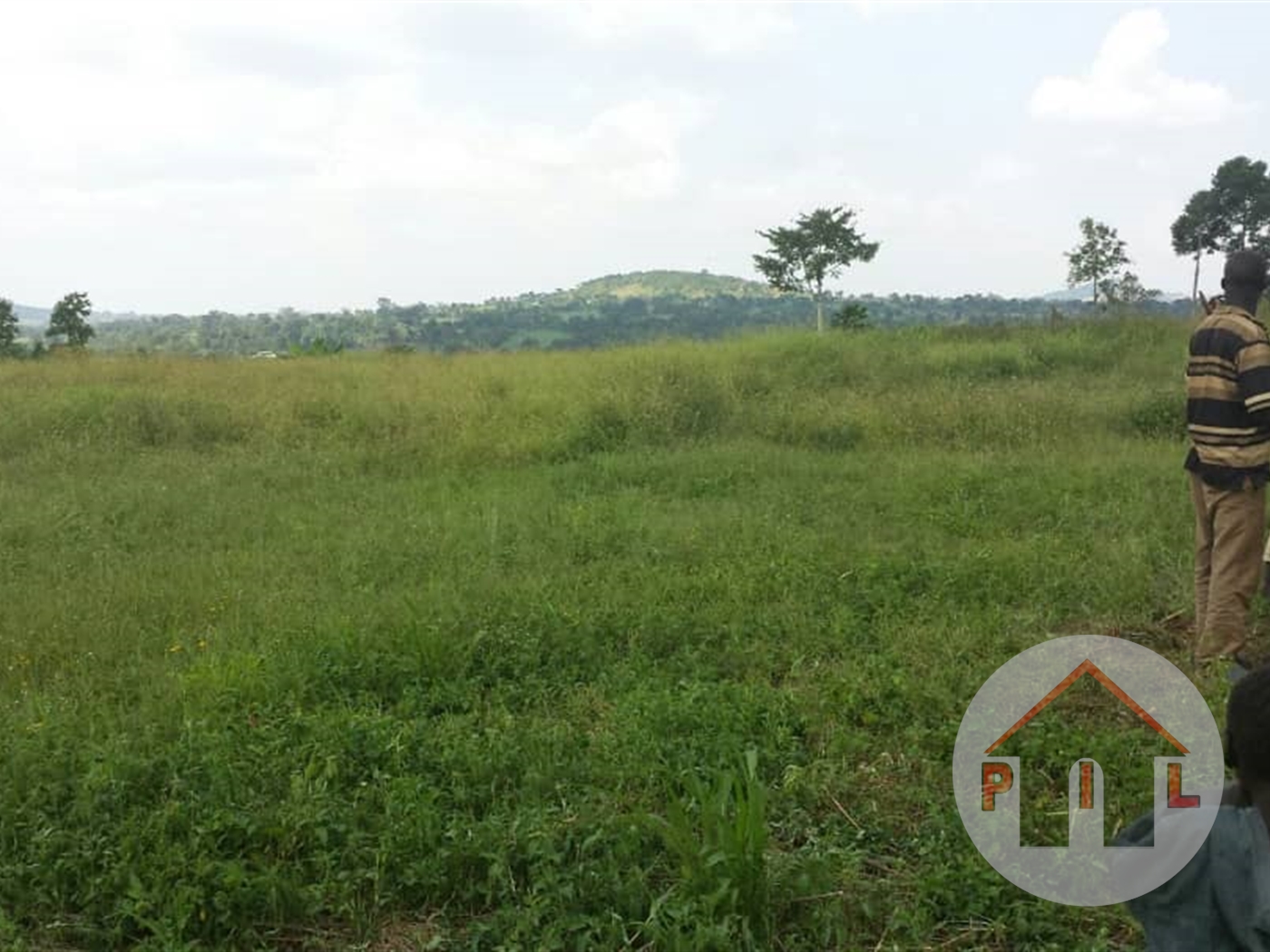 Agricultural Land for sale in Kyetume Mukono