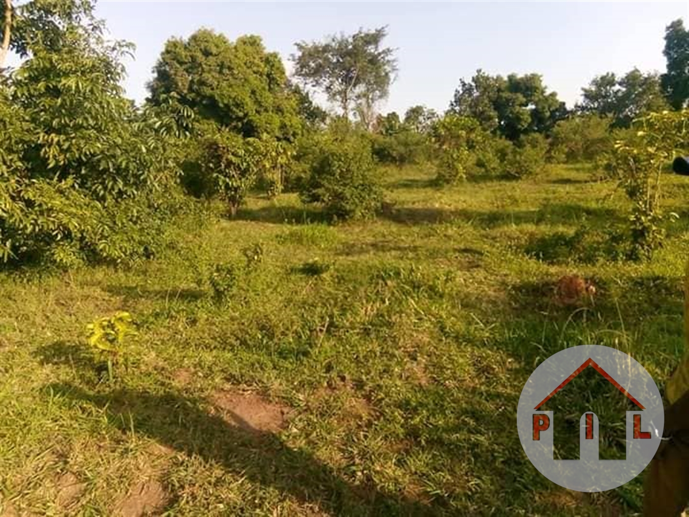 Agricultural Land for sale in Kikoota Kayunga