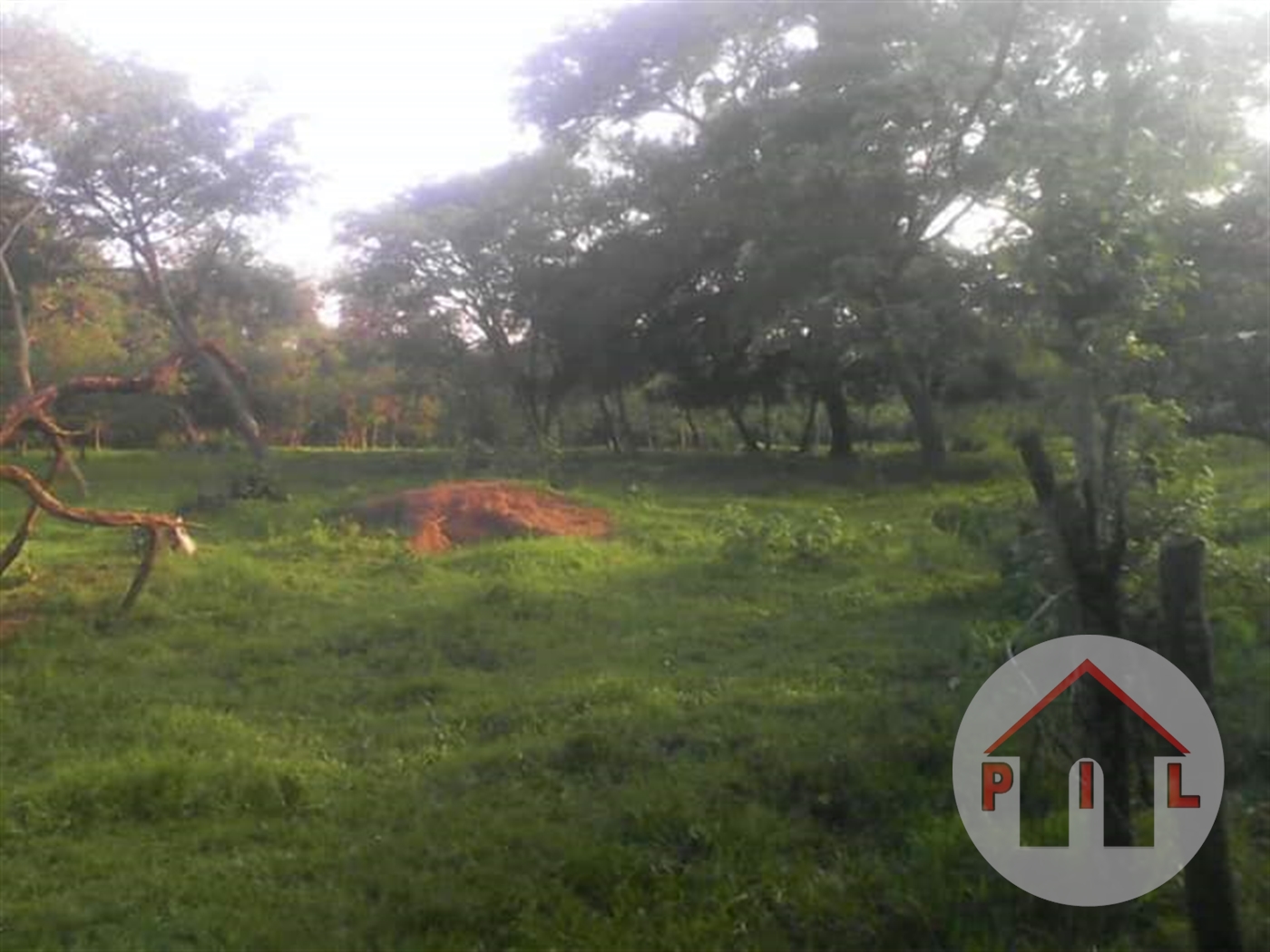 Agricultural Land for sale in Kikoota Kayunga