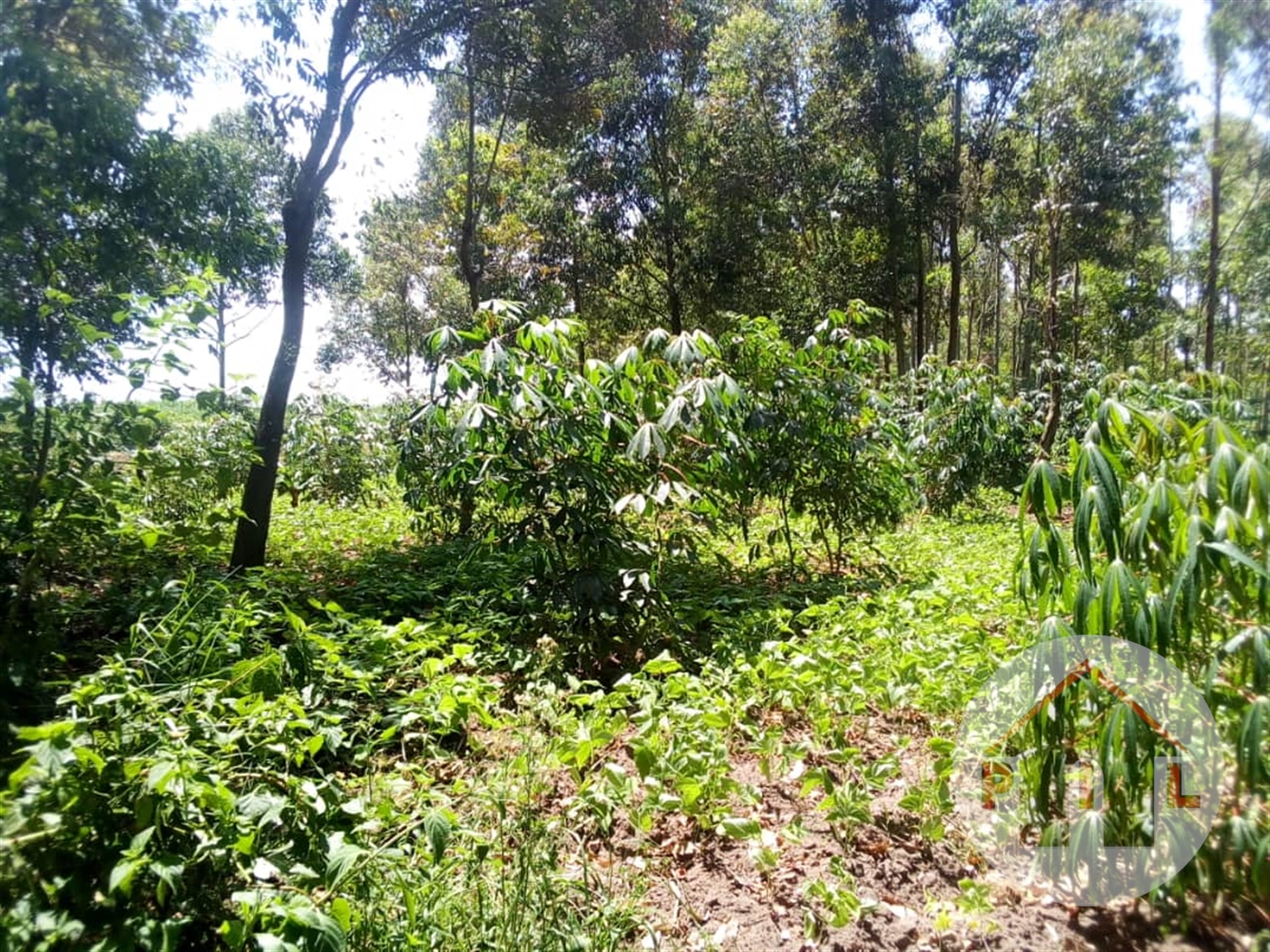 Agricultural Land for sale in Munyonyo Kampala