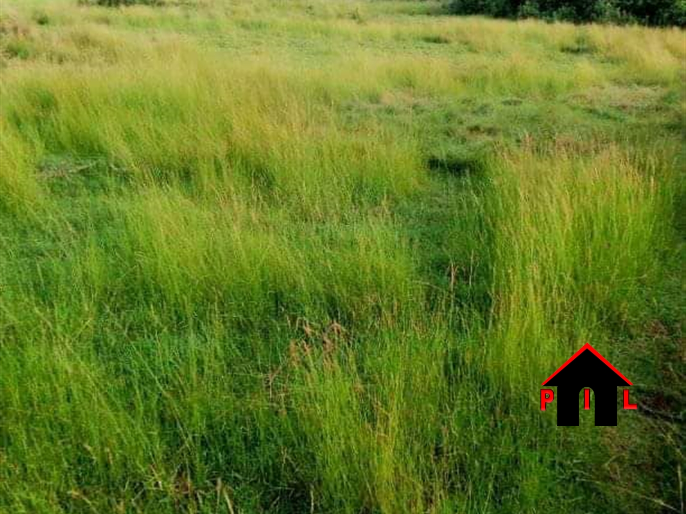 Agricultural Land for sale in Buyikwe Kayunga