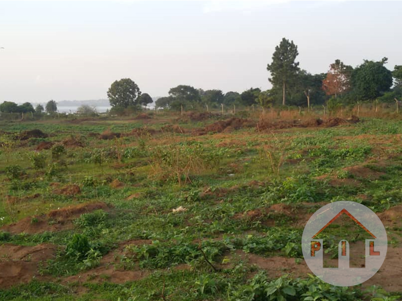 Agricultural Land for sale in Nangunga Mukono