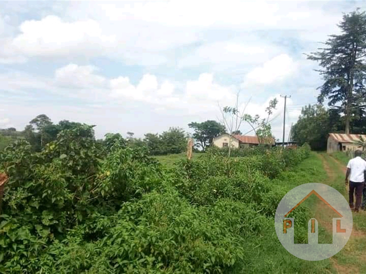 Agricultural Land for sale in Naggojje Kayunga