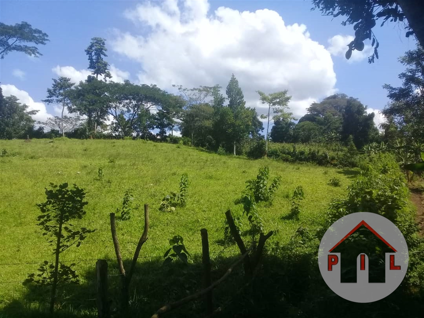 Agricultural Land for sale in Najjemba Mukono